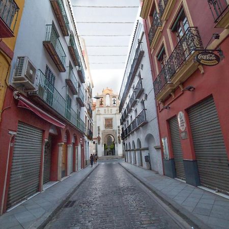 Casa Hernando Colon Sevilla Eksteriør bilde